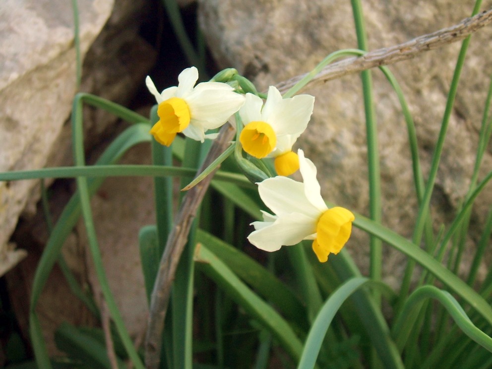 I colori del Gargano